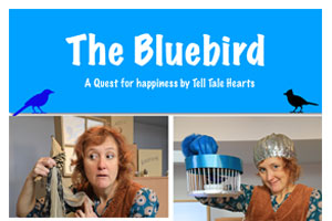 Download The Bluebird Leaflet